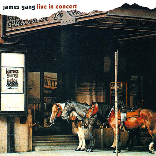 James Gang Live In Concert - vinyl LP