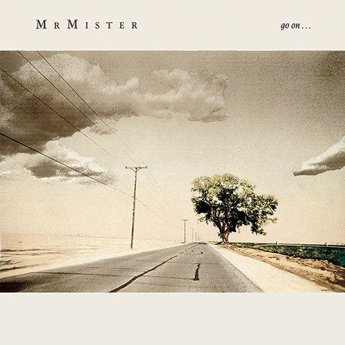 Mr. Mister Go On - cassette