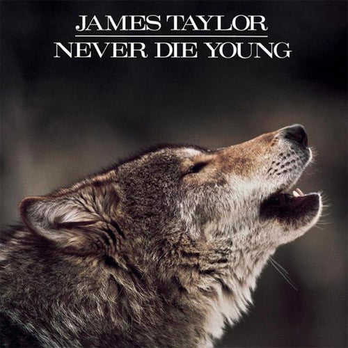 James Taylor Never Die Young - vinyl LP