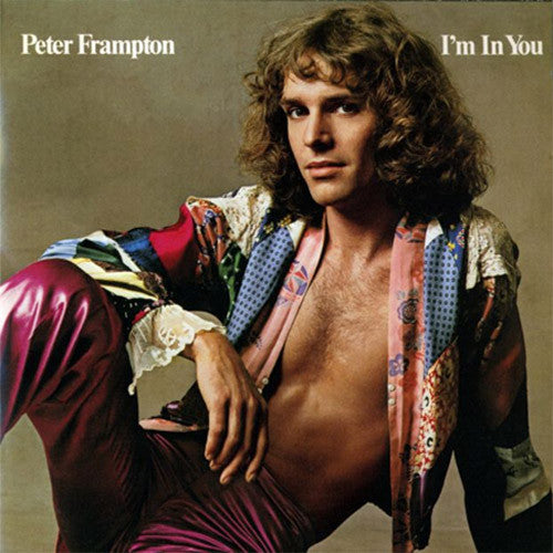Peter Frampton I'm In You - vinyl LP