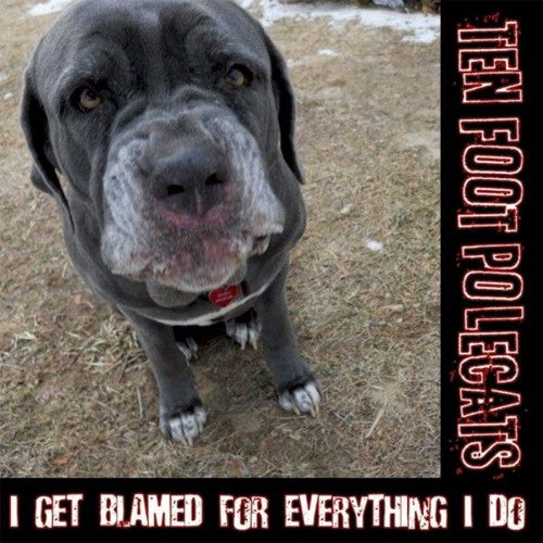 Ten Foot Polecats I Get Blamed For Everything I Do - compact disc